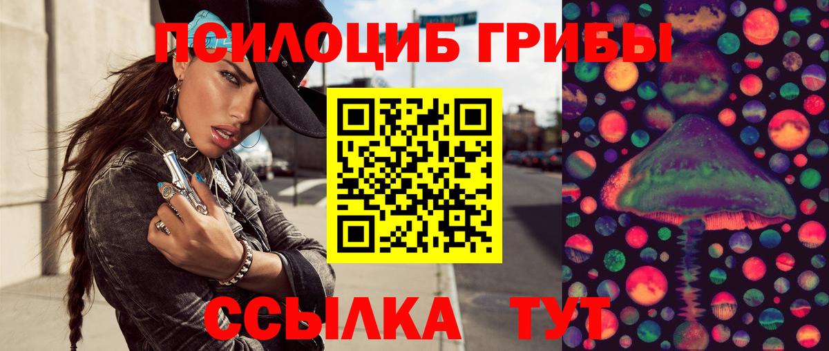 Галлюциногенные грибы Psilocybe Асбест